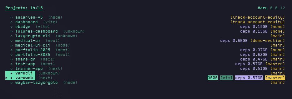 Varu Terminal Interface Screenshot